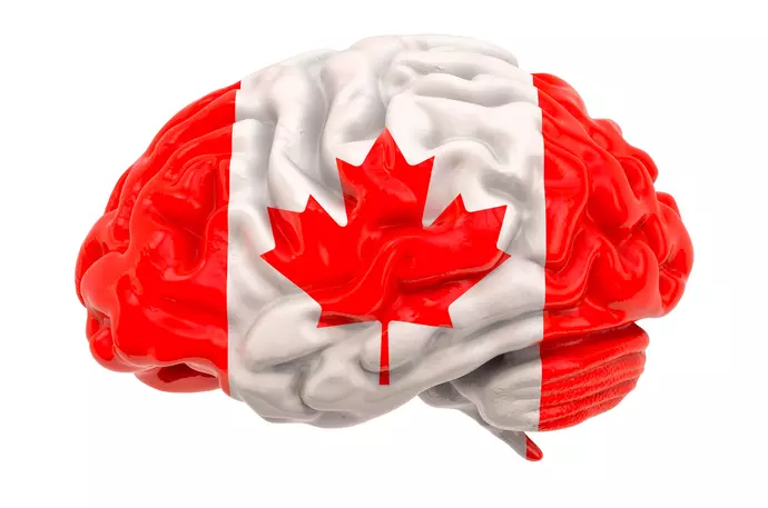 Picture of human brain painted in Canadian flag colors representing inteligence